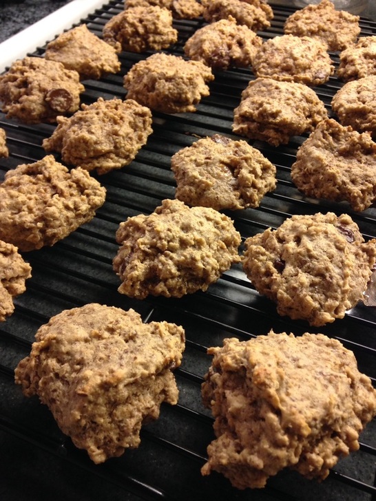 protein oatmeal chocolate chip cookies